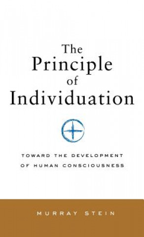 Książka Principle of Individuation Stein