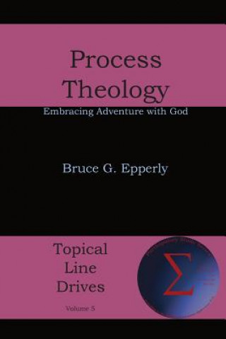Knjiga Process Theology Bruce G Epperly