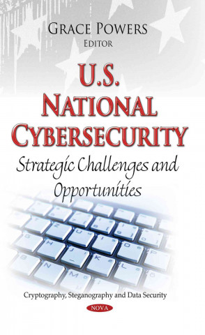 Könyv U.S. National Cybersecurity 