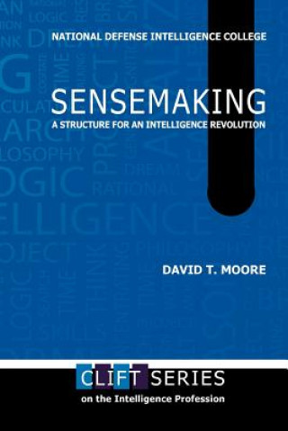 Buch Sensemaking Center for Strategic Intelligence Rsch