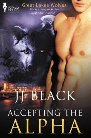 Könyv Great Lakes Wolves Jj Black