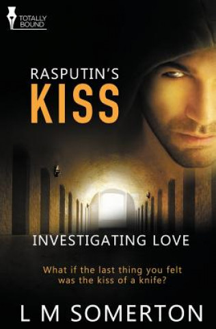 Buch Investigating Love L M Somerton