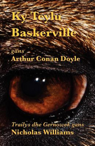 Kniha Ky Teylu Baskerville Sir Arthur Conan Doyle