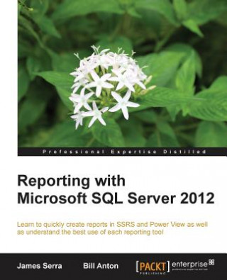 Knjiga Reporting with Microsoft SQL Server 2012 Bill Anton