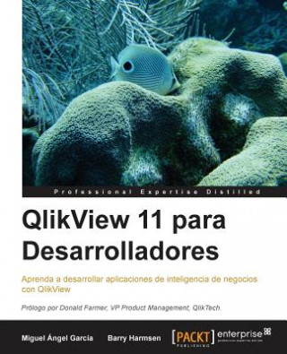 Boek QlikView 11 para Desarrolladores Miguel Garcia