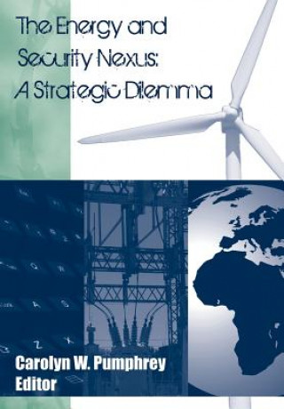 Kniha Energy and Security Nexus Strategic Studies Institute
