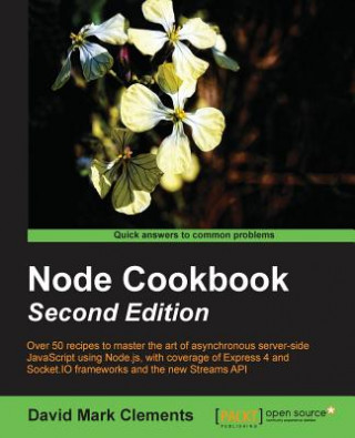 Carte Node Cookbook David Mark Clements
