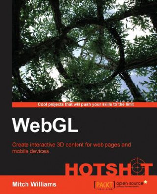 Könyv WebGL Hotshot Mitch Williams