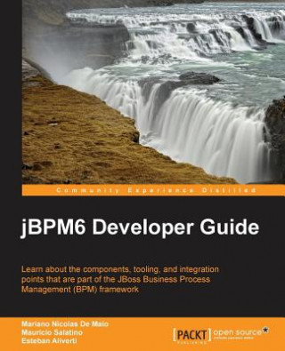 Könyv jBPM6 Developer Guide Mariano De Maio