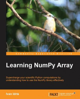 Könyv Learning NumPy Array Ivan Idris