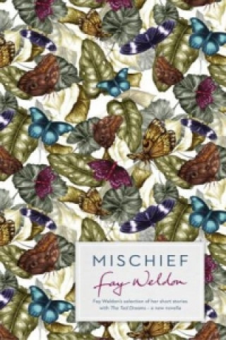 Knjiga Mischief Fay Weldon