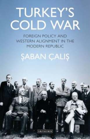 Kniha Turkey's Cold War Saban Halis Calis