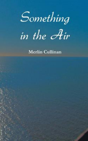 Livre Something in the Air Merlin Cullinan