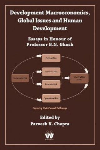 Kniha Development Macroeconomics, Global Issues and Human Development Parvesh K Chopra