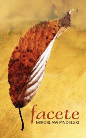 Buch Facete Miroslaw Pindelski