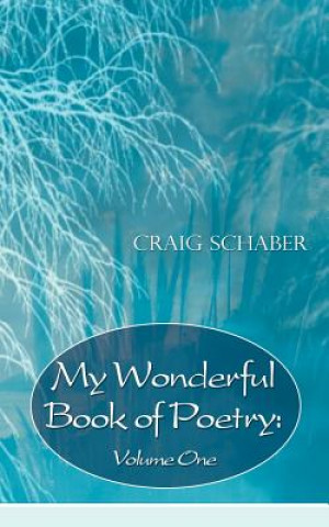 Kniha My Wonderful Book of Poetry Craig Schaber