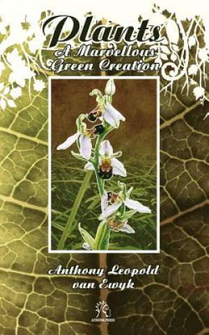 Carte Plants Anthony Leopold Van Ewyk