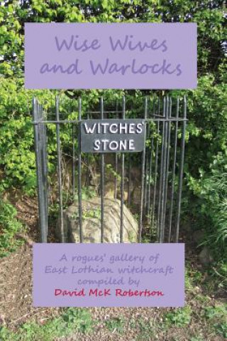 Könyv Wise Wives and Warlocks David McK Robertson