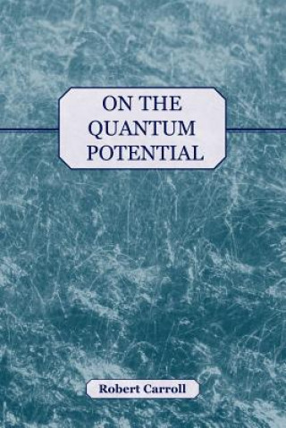 Buch On the Quantum Potential Robert Carroll