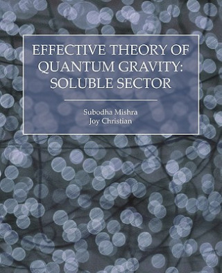 Carte Effective Theory of Quantum Gravity Joy Christian