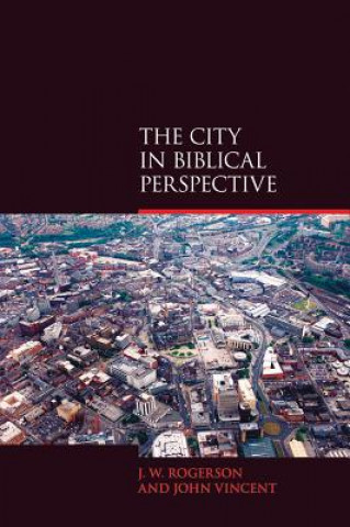 Книга City in Biblical Perspective John Vincent