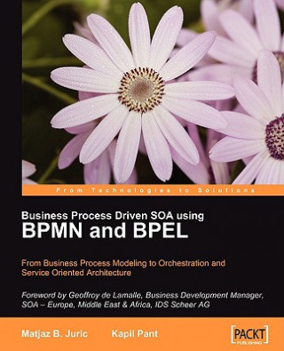 Buch Business Process Driven SOA using BPMN and BPEL Kapil Pant