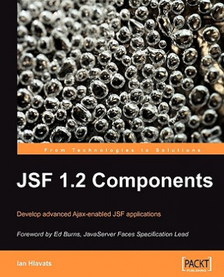 Kniha JSF 1.2 Components E. Burns