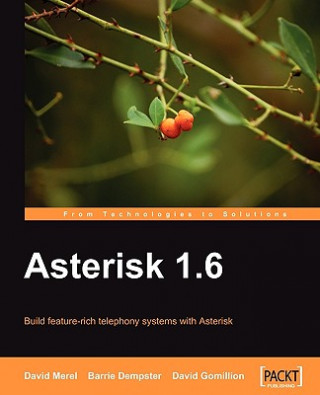 Kniha Asterisk 1.6 David Gomillion