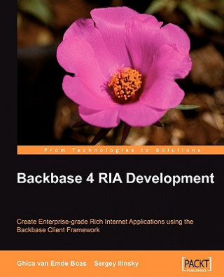 Knjiga Backbase 4 RIA Development Sergey Ilinsky