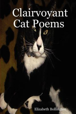 Książka Clairvoyant Cat Poems Elizabeth Bollington