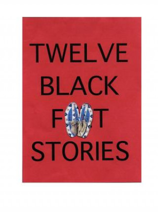 Kniha Twelve Blackfeet Stories Scriver