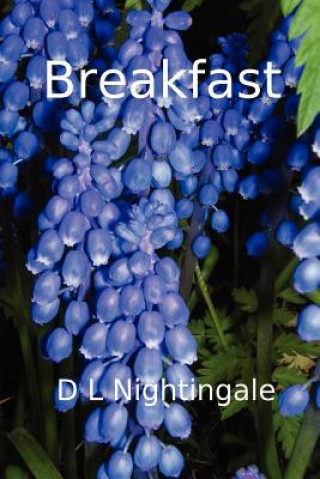 Книга Breakfast Nightingale