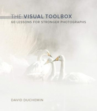 Könyv Visual Toolbox David DuChemin