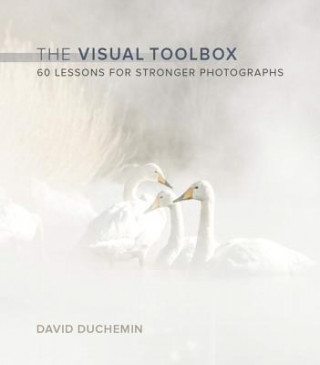 Libro Visual Toolbox David DuChemin