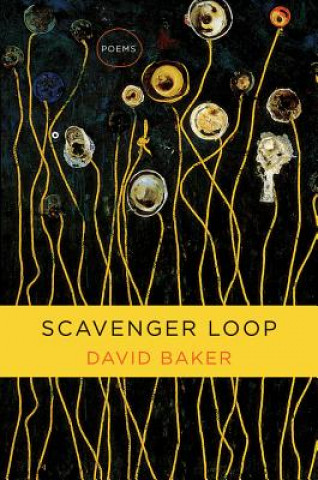 Książka Scavenger Loop David Baker