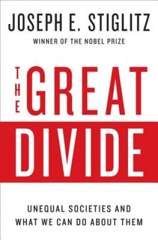 Kniha Great Divide Joseph E. Stiglitz