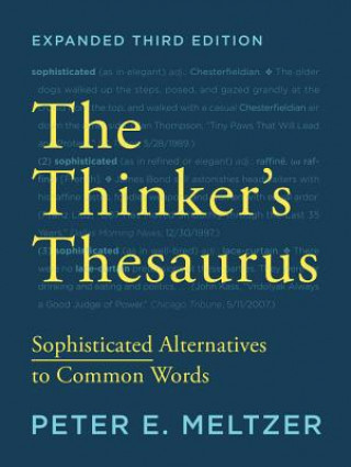 Kniha Thinker's Thesaurus Peter E. Meltzer