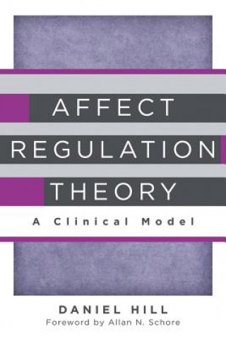 Könyv Affect Regulation Theory Daniel Hill