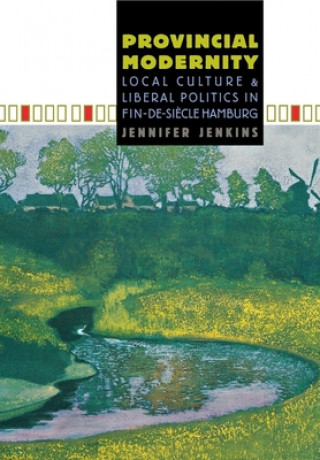 Книга Provincial Modernity Jennifer Jenkins