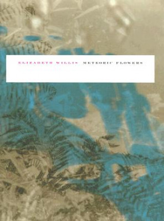 Book Meteoric Flowers Elizabeth Willis