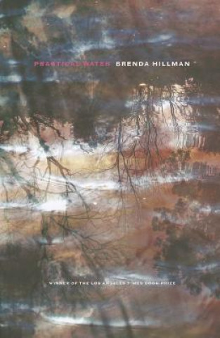 Knjiga Practical Water Brenda Hillman