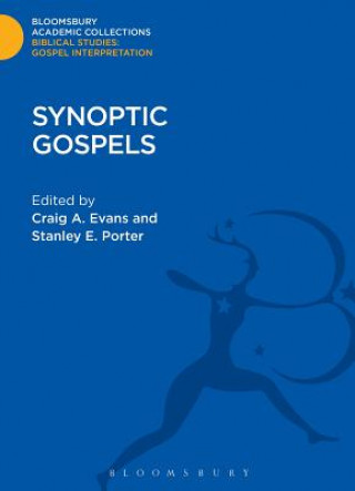 Carte Synoptic Gospels Stanley E. Porter