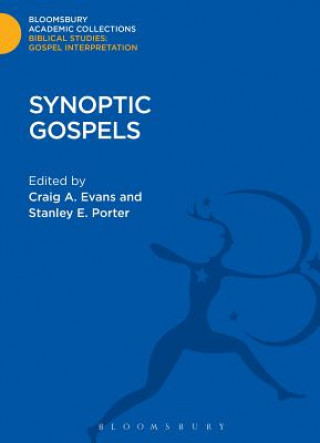 Livro Synoptic Gospels Stanley E. Porter