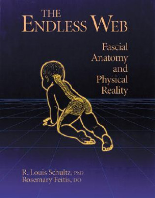Könyv Endless Web R. Louis Schultz