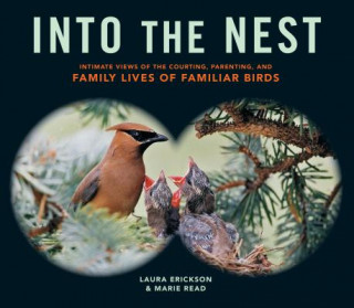 Könyv Into the Nest Marie P Read