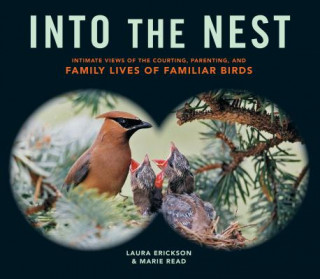 Livre Into the Nest Marie P Read