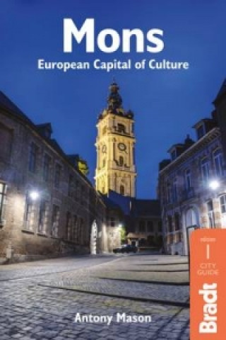 Kniha Mons - European Capital of Culture Antony Mason