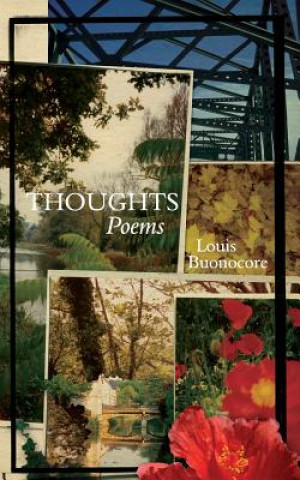 Buch Thoughts Louis Buonocore