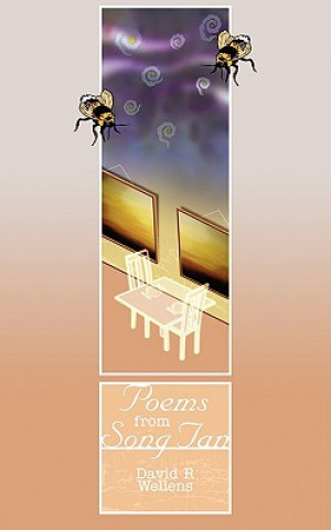 Carte Poems from Song Tan David R Wellens