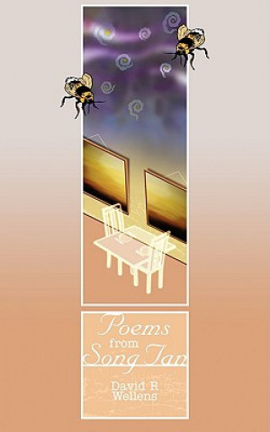 Kniha Poems from Song Tan David R Wellens